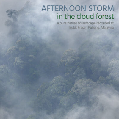 Afternoon Storm in the Cloud Forest - Album Cover