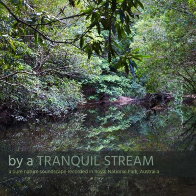 By a Tranquil Stream - Album Cover