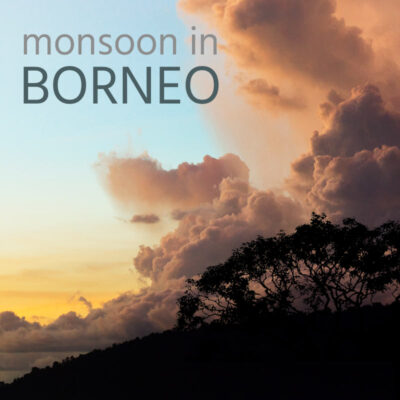 Monsoon in Borneo - Album Cover
