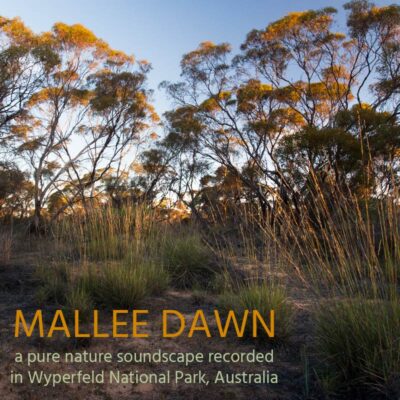 Mallee Dawn - Album Cover