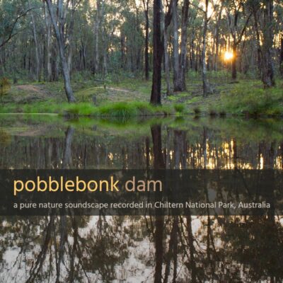 Pobblebonk Dam - Album Cover