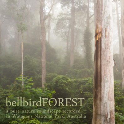 Bellbird Forest - Album Cover