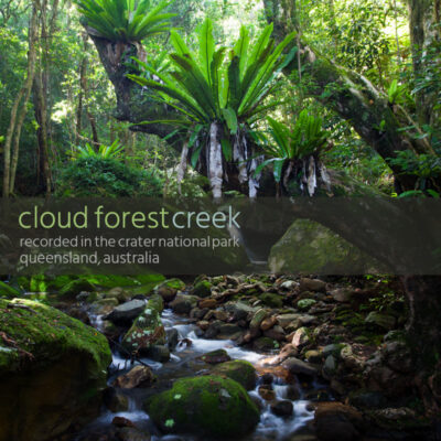 Cloud Forest Creek - Album Cover