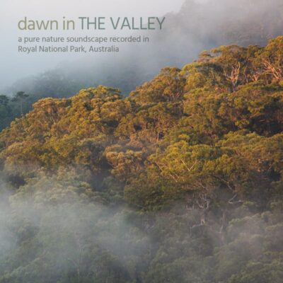 Dawn in the Valley - Album Cover
