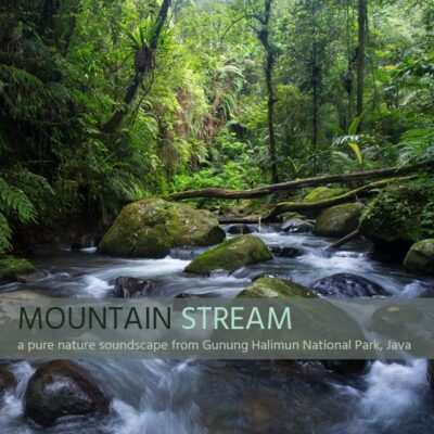 Mountain Stream - Album Cover