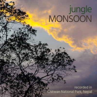 Jungle Monsoon - Album Cover