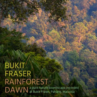 Bukit Fraser: Rainforest Dawn - Album Cover