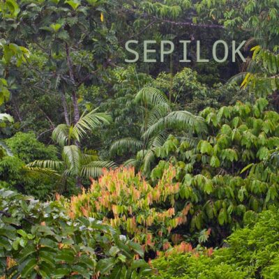 Sepilok - Album Cover