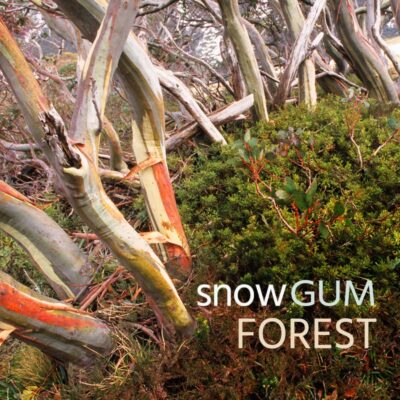 Snow Gum Forest - Album Cover