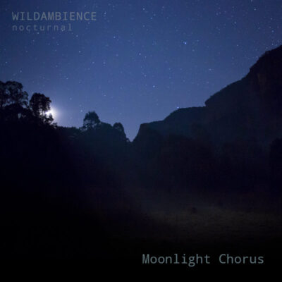 Moonlight Chorus - Album Cover