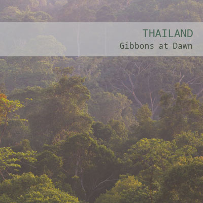 Thailand: Gibbons at Dawn - Album Cover
