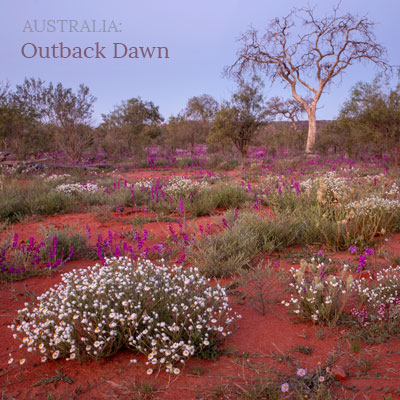 Australia: Outback Dawn - Album Cover